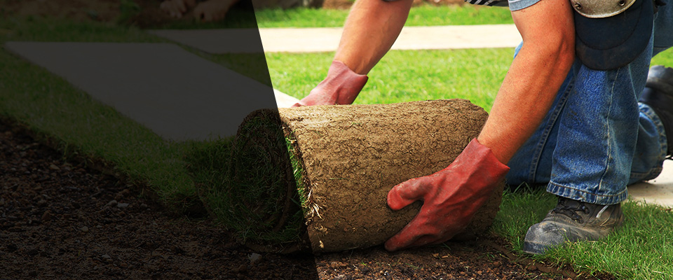 Wauconda Landscapers